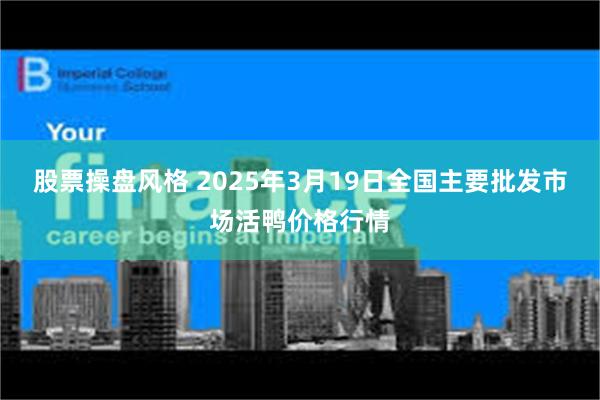 股票操盘风格 2025年3月19日全国主要批发市场活鸭价格行情