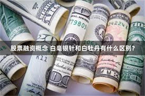 股票融资概念 白毫银针和白牡丹有什么区别？