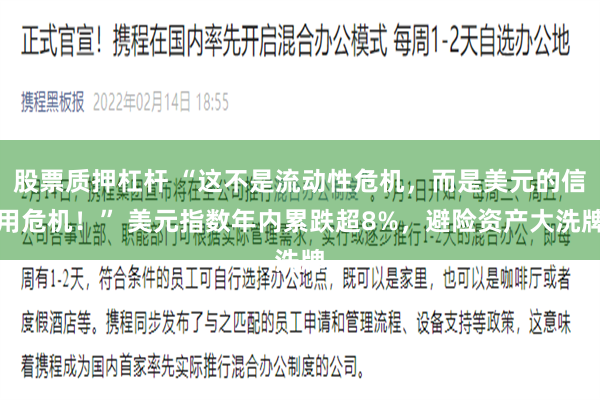 股票质押杠杆 “这不是流动性危机，而是美元的信用危机！” 美元指数年内累跌超8%，避险资产大洗牌