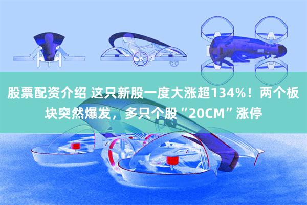 股票配资介绍 这只新股一度大涨超134%！两个板块突然爆发，多只个股“20CM”涨停