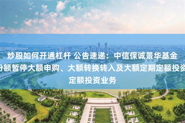 炒股如何开通杠杆 公告速递：中信保诚景华基金D类份额暂停大额申购、大额转换转入及大额定期定额投资业务