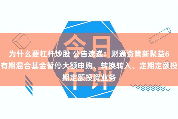 为什么要杠杆炒股 公告速递：财通资管新聚益6个月持有期混合基金暂停大额申购、转换转入、定期定额投资业务