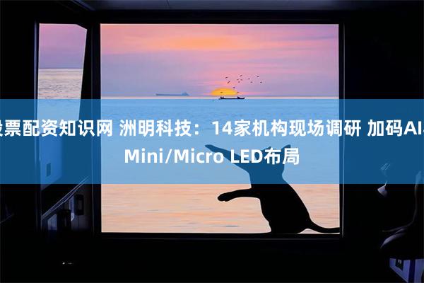 股票配资知识网 洲明科技：14家机构现场调研 加码AI与Mini/Micro LED布局