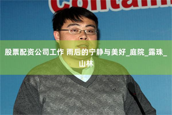 股票配资公司工作 雨后的宁静与美好_庭院_露珠_山林