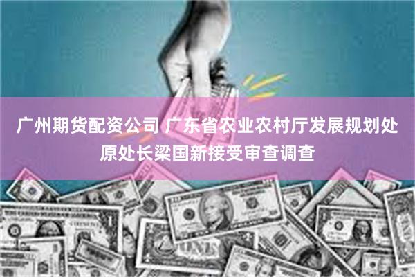 广州期货配资公司 广东省农业农村厅发展规划处原处长梁国新接受审查调查